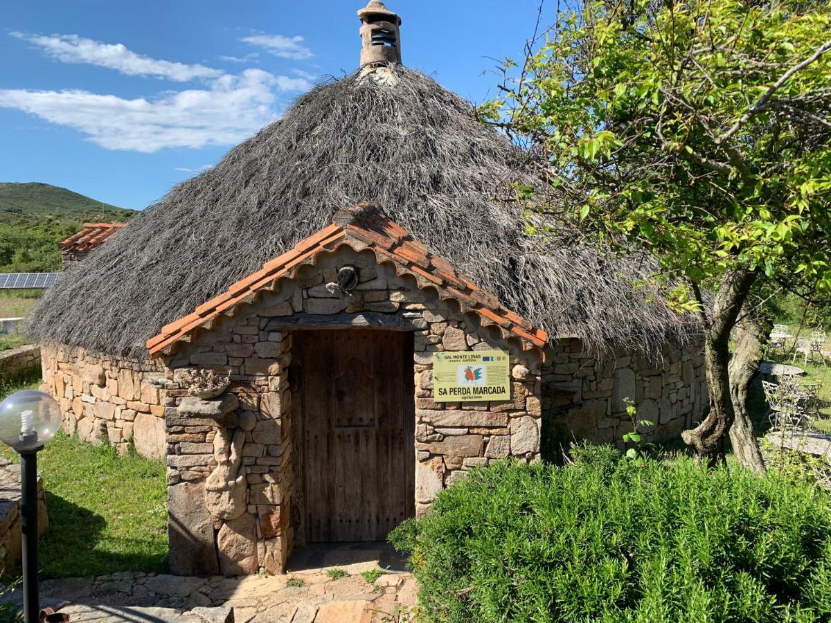 Agriturismo Sa Perda Marcada Арбус Екстер'єр фото